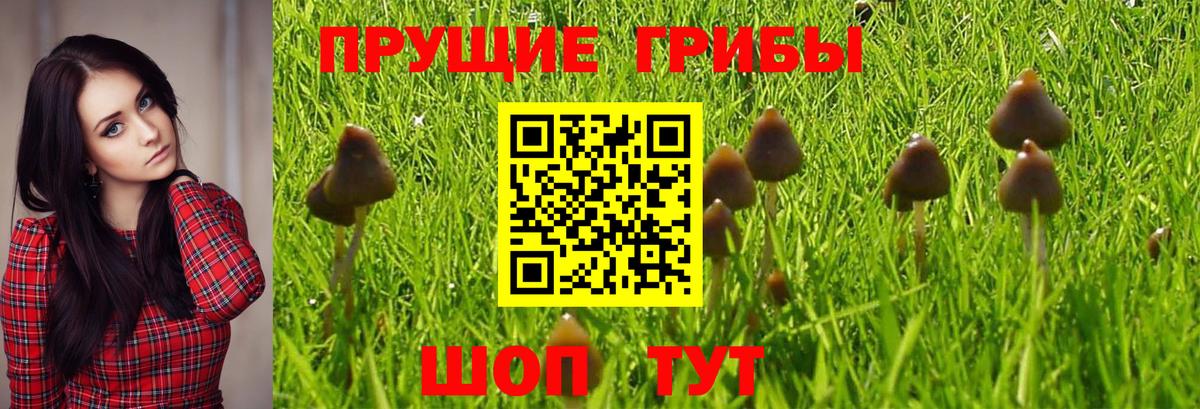 Псилоцибиновые грибы мухоморы  Вход с VPN  Таганрог 